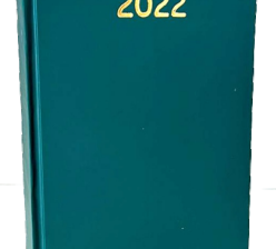 Bingo New year Diary 2022 117 SD pack of 1 Green