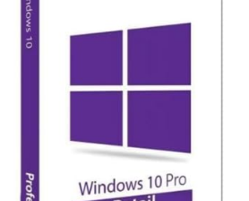 Win 10 Professional Licence Key [software_key_card]