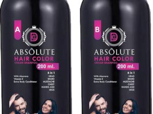 D Absolute HAIR COLOR CREAM SHAMPOO FOR MEN AND WOMEN AMONIA FREE WITH ALOVERA, VITAMIN E 200 ML (Pack of 2) (Burgundy)