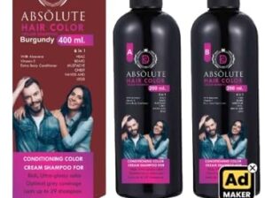 D Absolute HAIR COLOR CREAM SHAMPOO FOR MEN AND WOMEN AMONIA FREE WITH ALOVERA, VITAMIN E 200 ML (Pack of 2) (Burgundy)