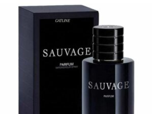 D ABSOLUTE SAUVAGE Male 60 ml Perfume For Men Long Lasting