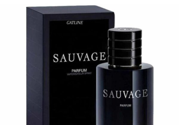 D ABSOLUTE SAUVAGE Male 60 ml Perfume For Men Long Lasting