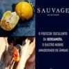 D ABSOLUTE SAUVAGE Male 60 ml Perfume For Men Long Lasting - Image 4